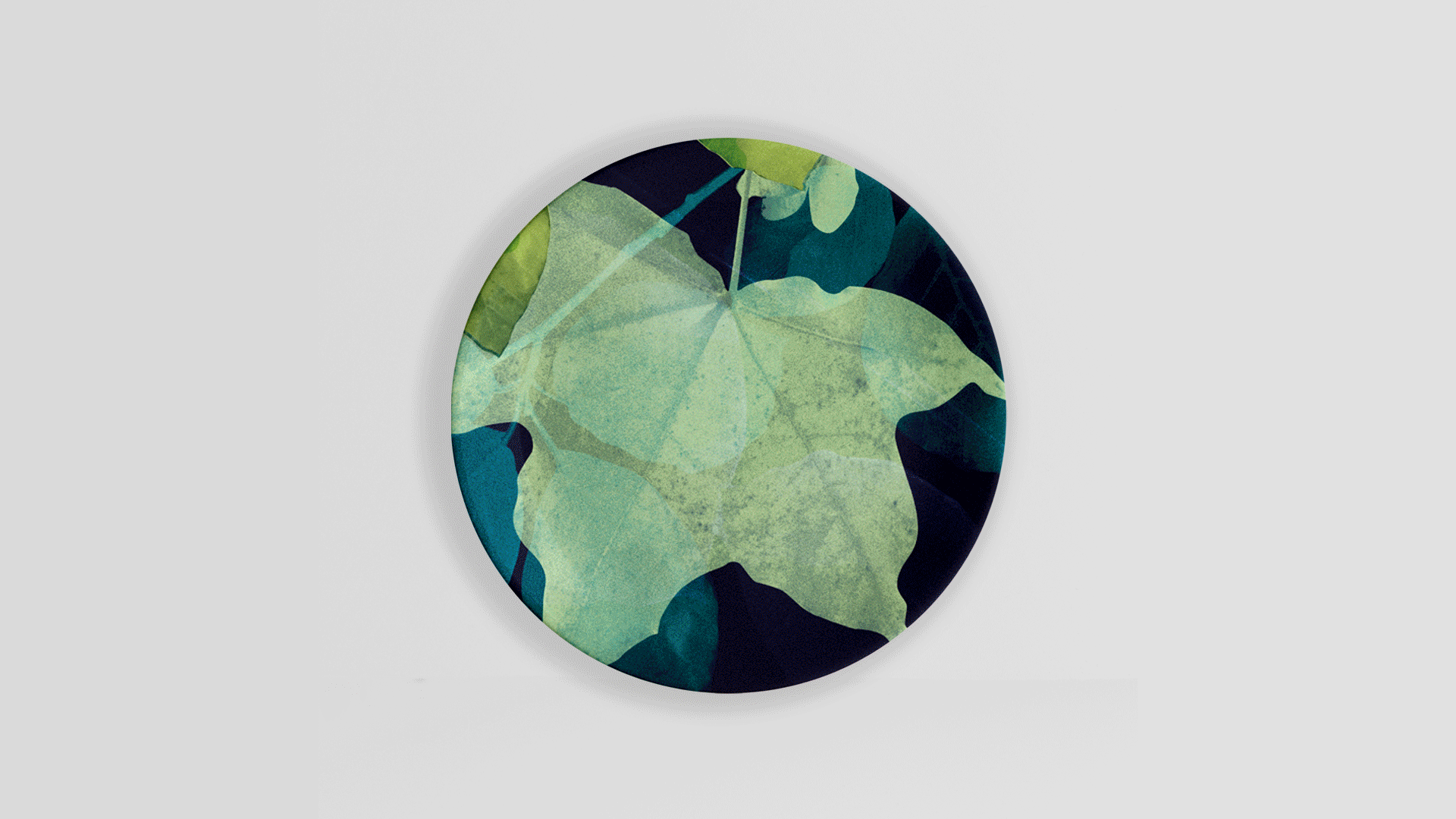 Skew For National Trust, Plates Collection