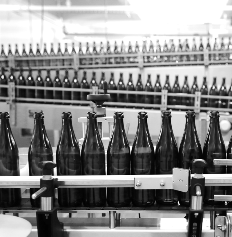 A black and white photo of bottles on the bottling line ready to be labeled and filled.