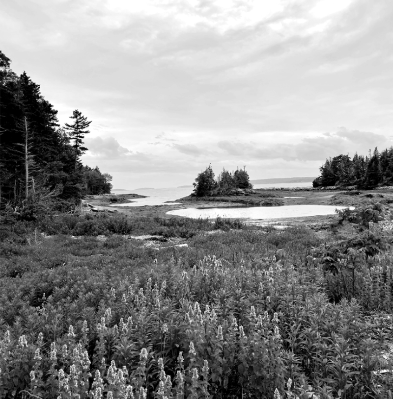A black and white photo of Little Whaleboat Island, a series of islands and ledges in Casco Bay.