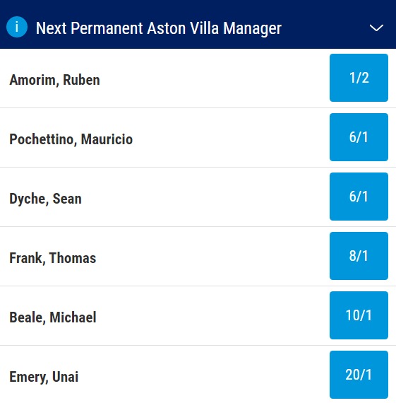 next aston villa manager odds