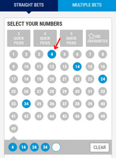 How to Bet on the 49's - pick your numbers