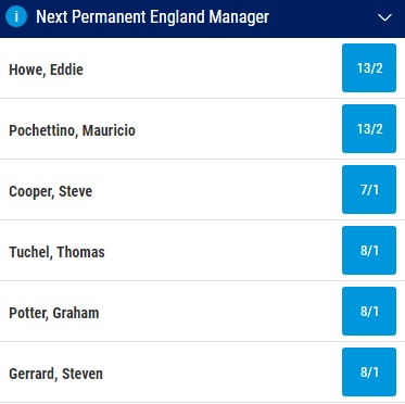 Next England Manager Odds