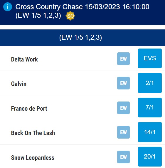 Cross Country Chase betting odds