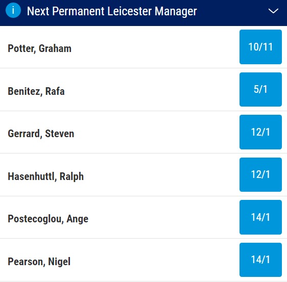 Next Leicester Manager Odds