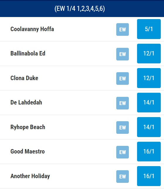 2023 BoyleSports Irish Greyhound Derby Odds