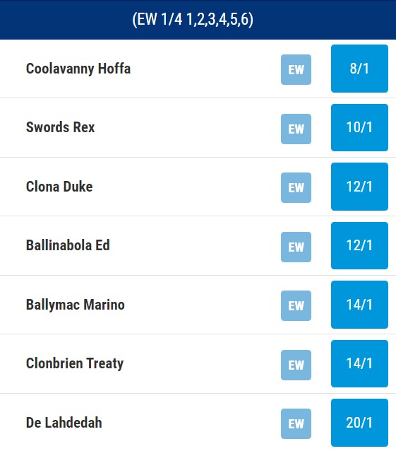 BoyleSports Irish Greyhound Derby Odds 2023 (4)