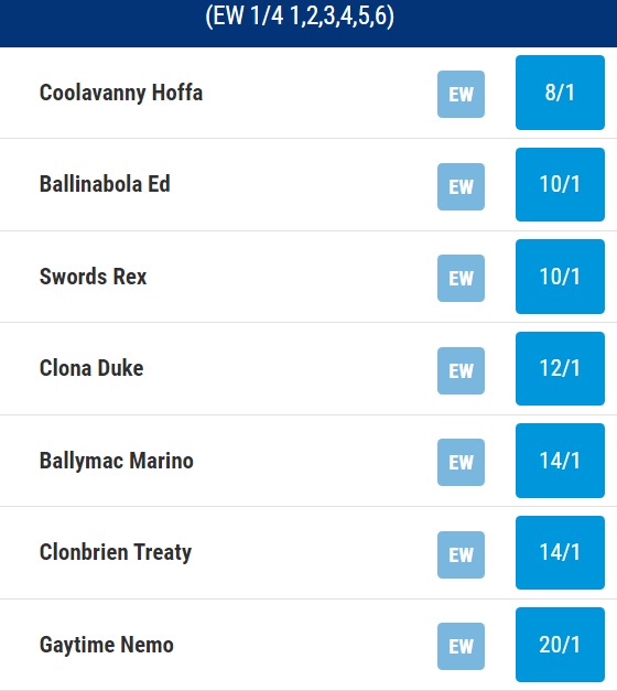 BoyleSports Irish Greyhound Derby Odds 2023