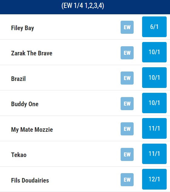 Galway Hurdle Odds 2023