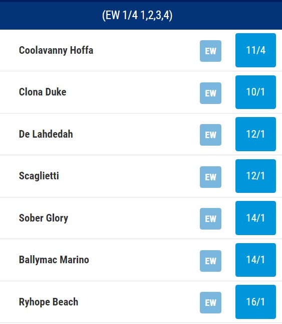 BoyleSports Irish Greyhound Derby Odds 2023 (5)