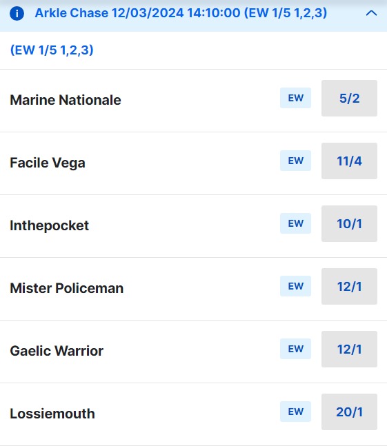 2024 Cheltenham Arkle Chase Betting Odds