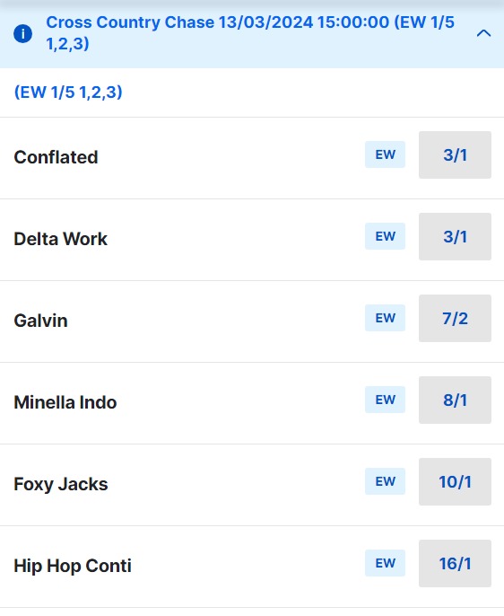 2024 Cheltenham Cross Country Chase Betting Odds