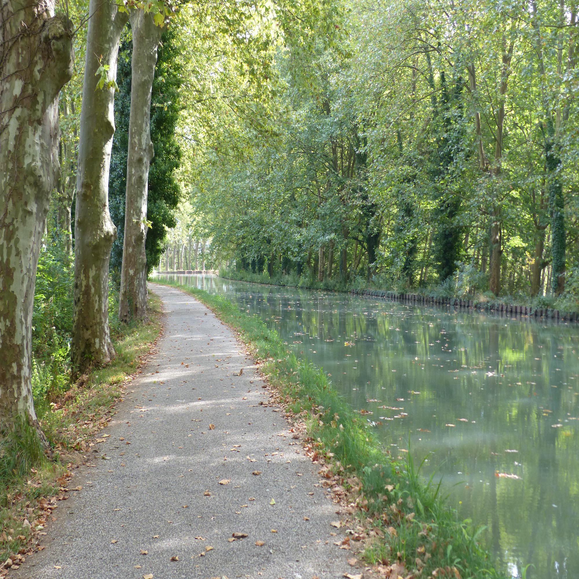 2 The Garonne Canal offers one of the best routes on traffic-free asphalted paths