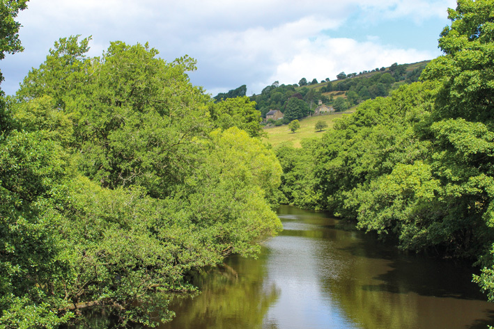 Looking along the River Nidd from Pateley Bridge