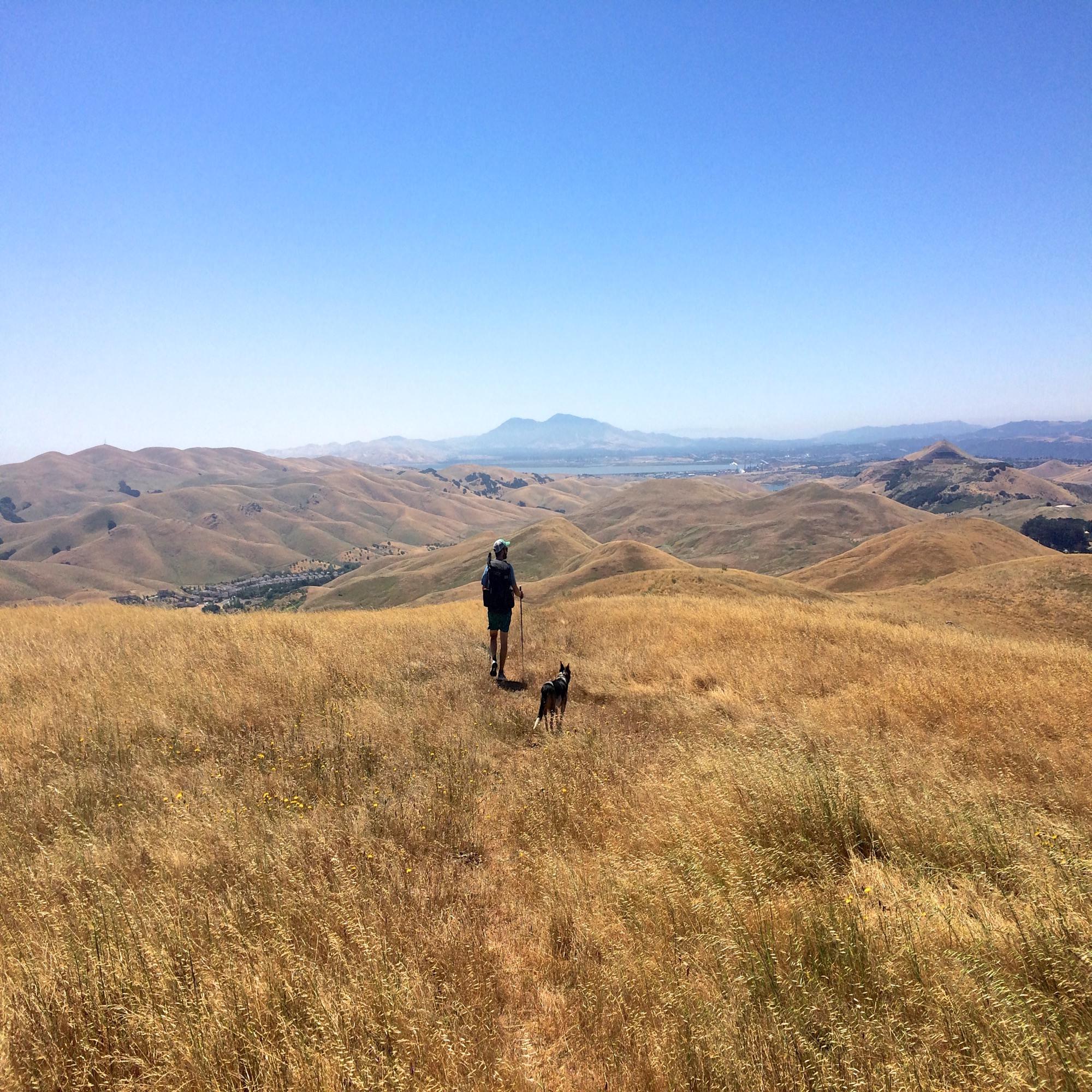 The author imagines he is in Montana on a training hike along the Bay Area Ridge Trail in California.