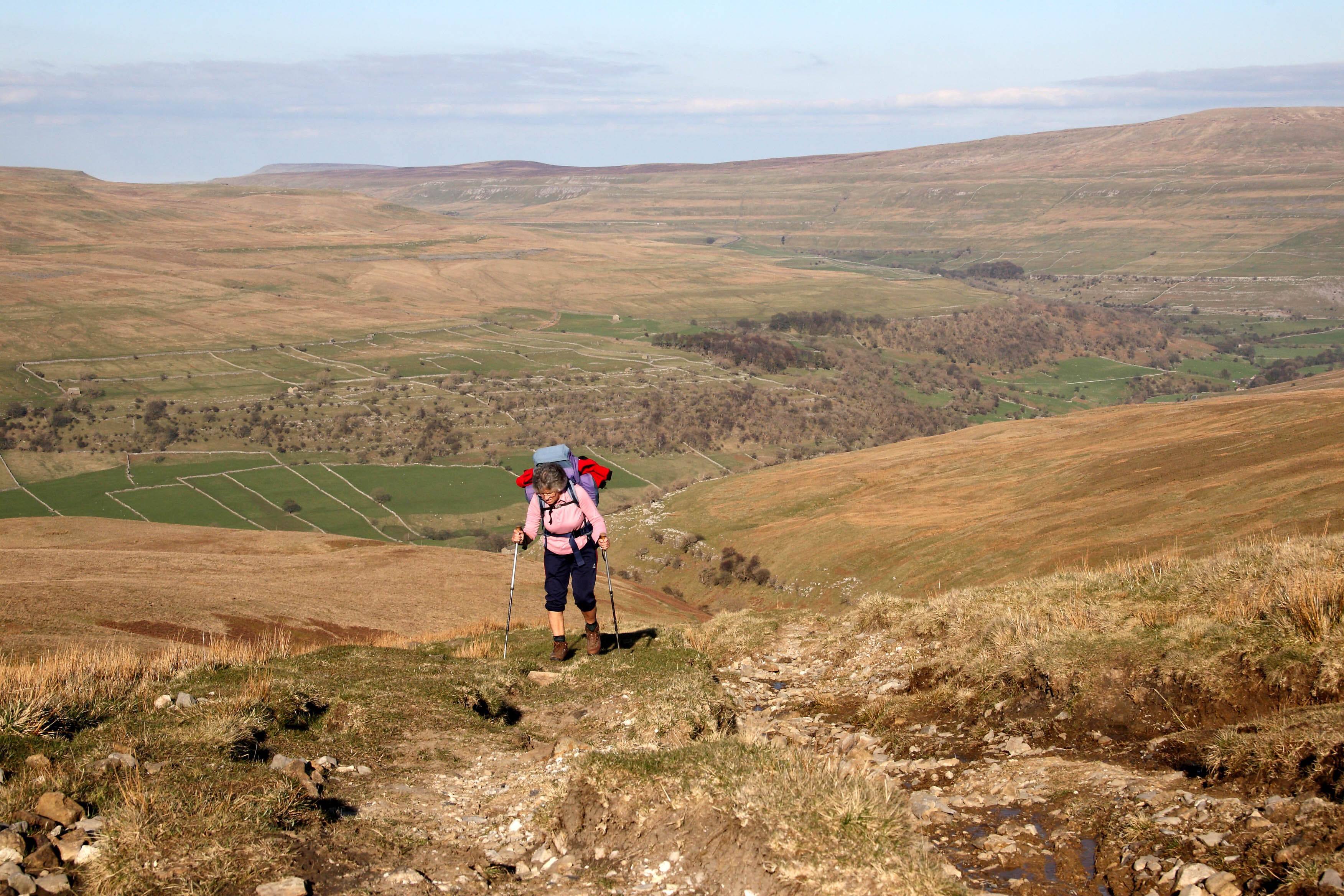 Climbing Up  Birks  Fell In The  Yorkshire  Dales