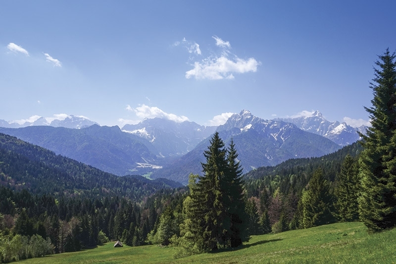 A quick guide to Slovenian, for mountain bikers