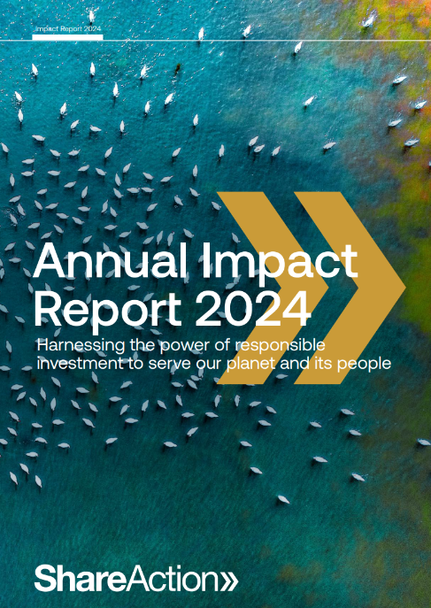 Annual Impact Report 2024 - Screenshot of the front cover of our downloadable report