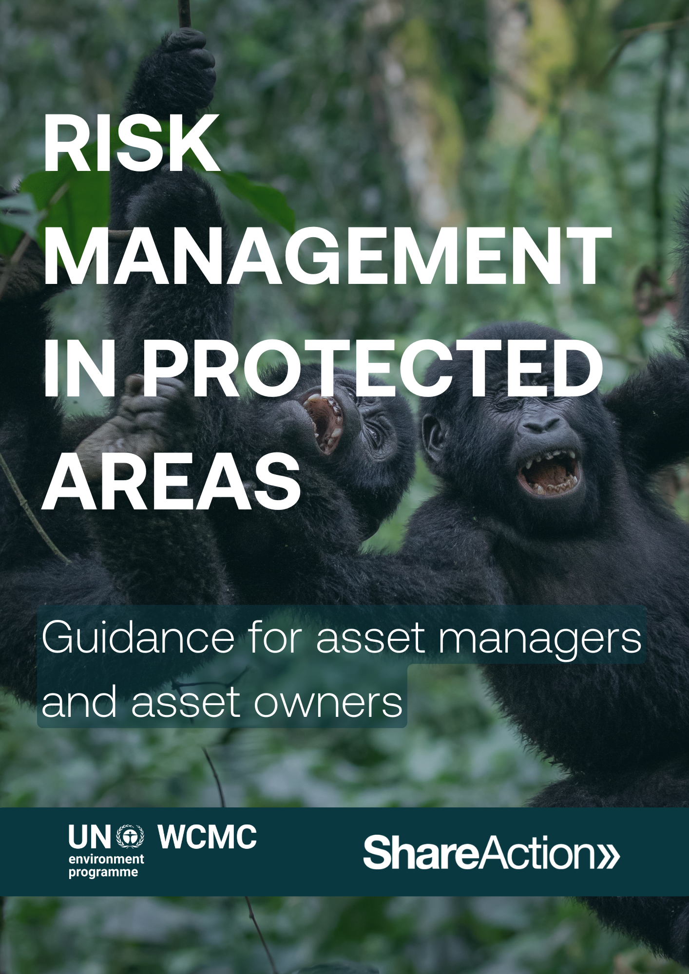 Front cover of ShareAction and UNEP's report titled "Risk Management in Protected Areas". The subtitle reads "Guidance for asset managers and asset owners." The background image is two gorillas.