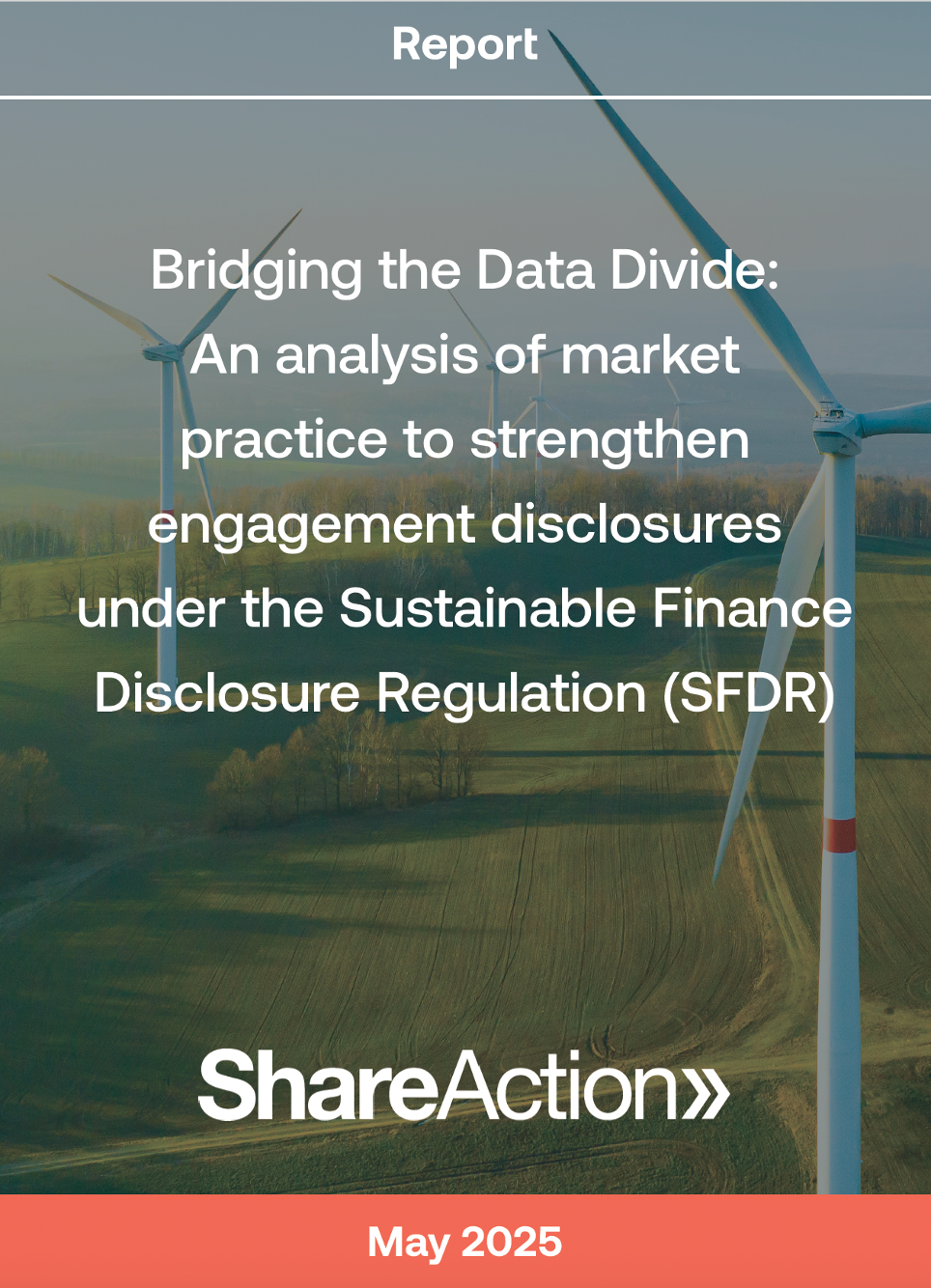 Bridging the Data Divide: An analysis of market practice to strengthen engagement disclosures under the Sustainable Finance Disclosure Regulation (SFDR)