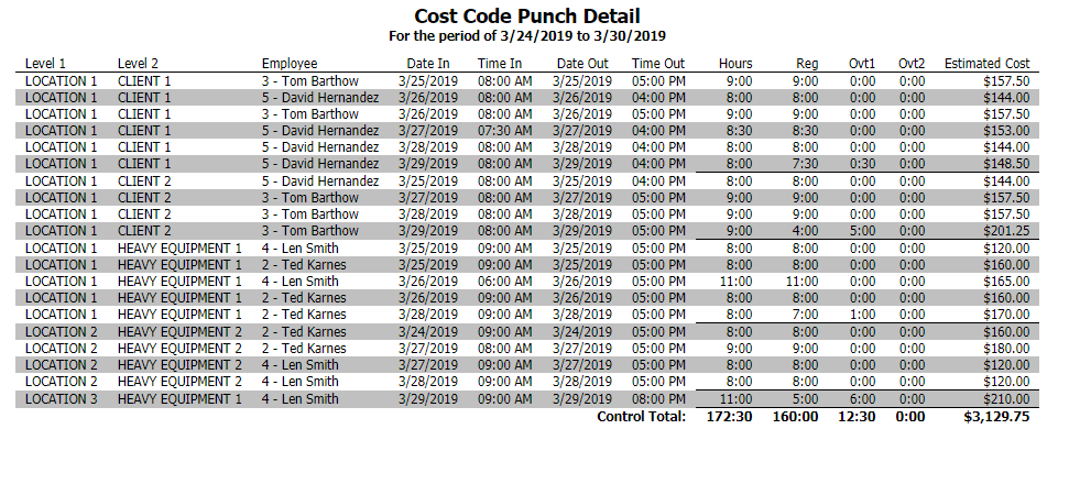 Cost Code Punch Detail