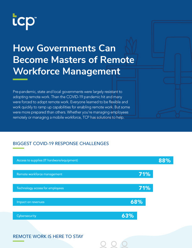 eBook cover of Governments Can Become Masters of Remote WFM