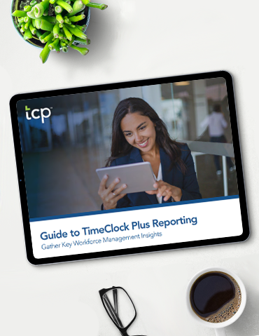 eBook cover of Guide to TimeClock Plus Reporting